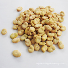 New Crop Fava Beans with Top Quality peeled  whole broad beans